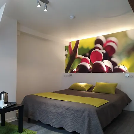 Hotel Le Chambellan 2*